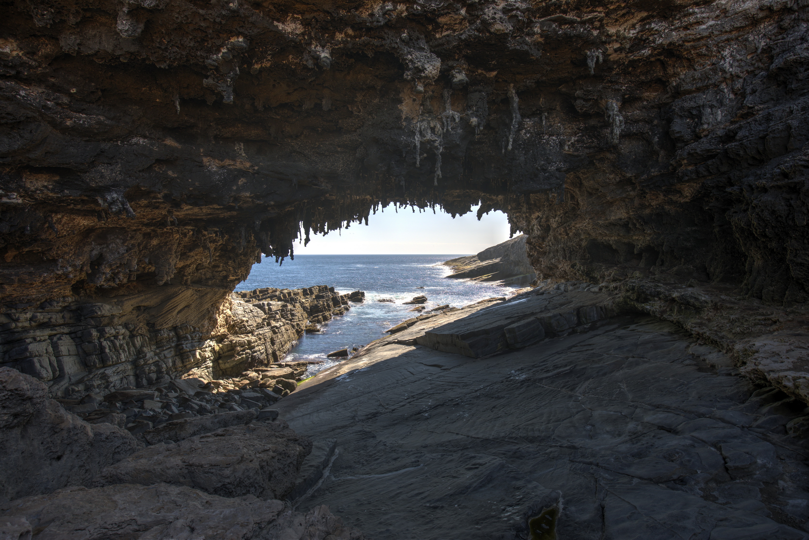 2019 10 01 14 02 42 Canon EOS 5D Mark IV 0025